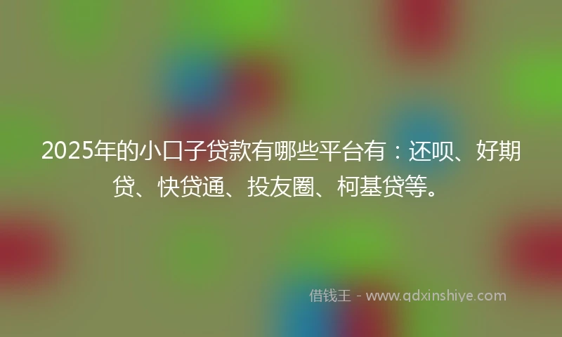 2025年的小口子贷款有哪些平台有：还呗、好期贷、快贷通、投友圈、柯基贷等。