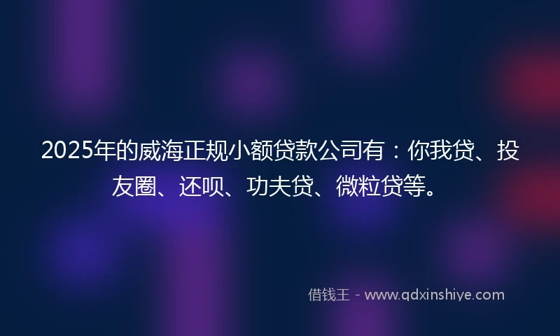 2025年的威海正规小额贷款公司有：你我贷、投友圈、还呗、功夫贷、微粒贷等。