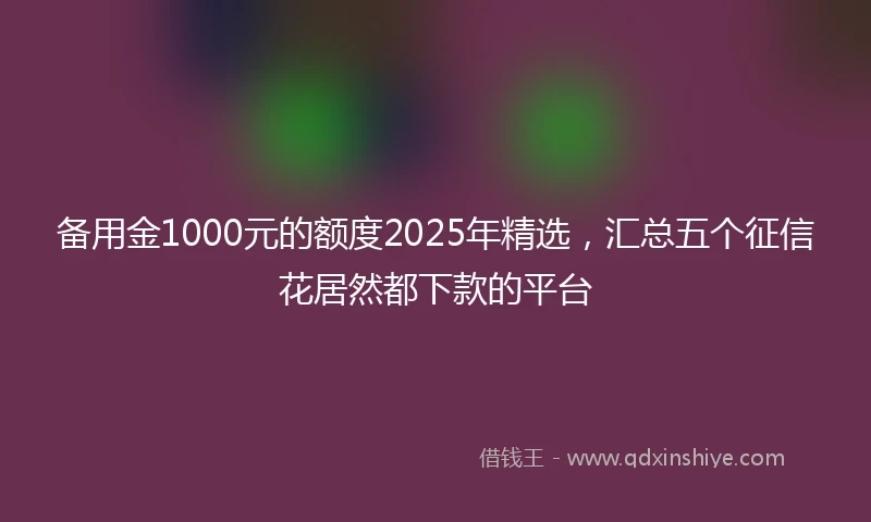 备用金1000元的额度2025年精选，汇总五个征信花居然都下款的平台