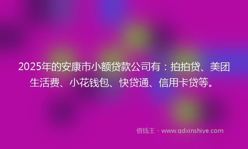 2025年的安康市小额贷款公司有：拍拍贷、美团生活费、小花钱包、快贷通、信用卡贷等。