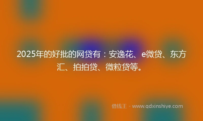 2025年的好批的网贷有：安逸花、e微贷、东方汇、拍拍贷、微粒贷等。
