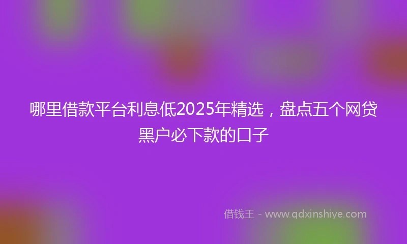 哪里借款平台利息低2025年精选，盘点五个网贷黑户必下款的口子