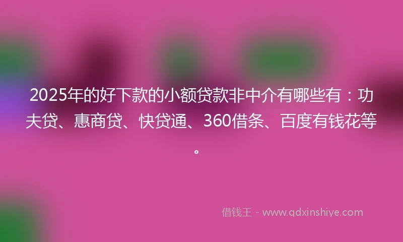 2025年的好下款的小额贷款非中介有哪些有：功夫贷、惠商贷、快贷通、360借条、百度有钱花等。