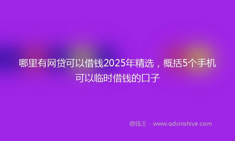 哪里有网贷可以借钱2025年精选，概括5个手机可以临时借钱的口子