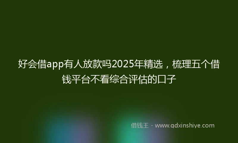 好会借app有人放款吗2025年精选，梳理五个借钱平台不看综合评估的口子