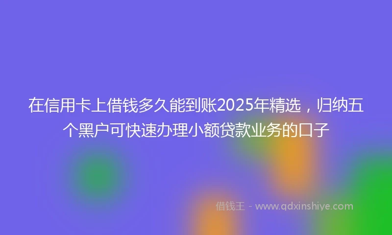 在信用卡上借钱多久能到账2025年精选，归纳五个黑户可快速办理小额贷款业务的口子