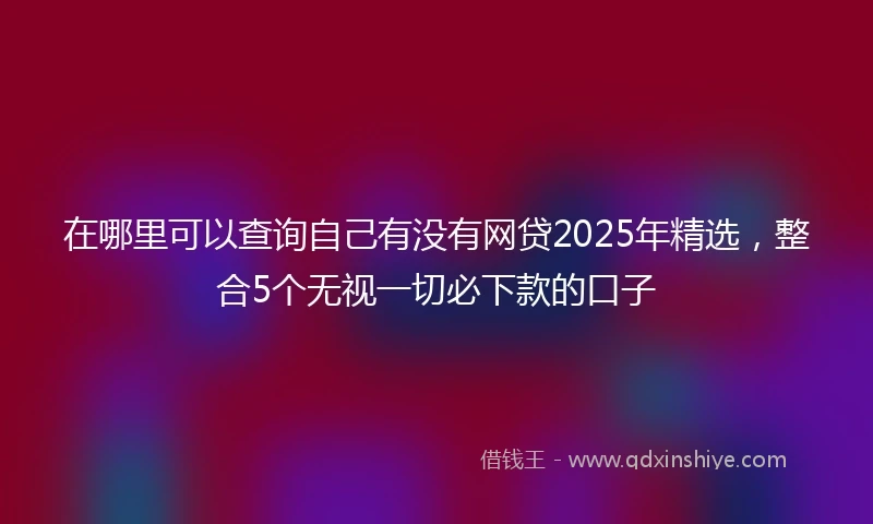 在哪里可以查询自己有没有网贷2025年精选，整合5个无视一切必下款的口子