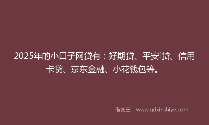 2025年的小口子网贷有：好期贷、平安i贷、信用卡贷、京东金融、小花钱包等。