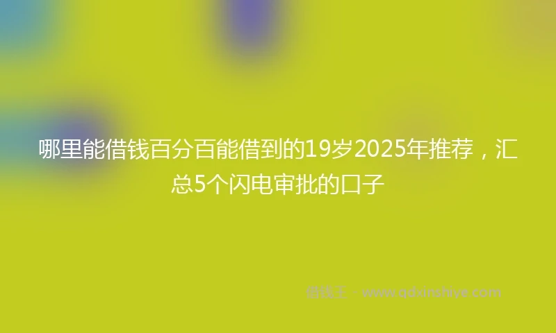 哪里能借钱百分百能借到的19岁2025年推荐,汇总5个闪电审批的口子