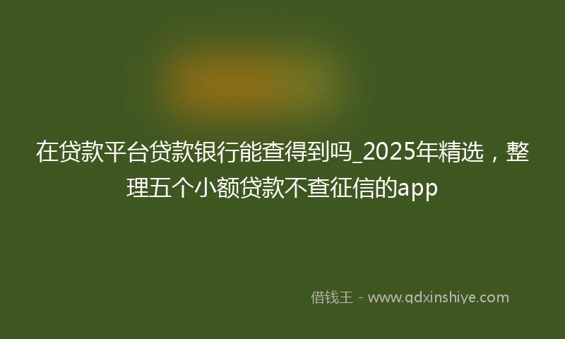 在贷款平台贷款银行能查得到吗_2025年精选，整理五个小额贷款不查征信的app