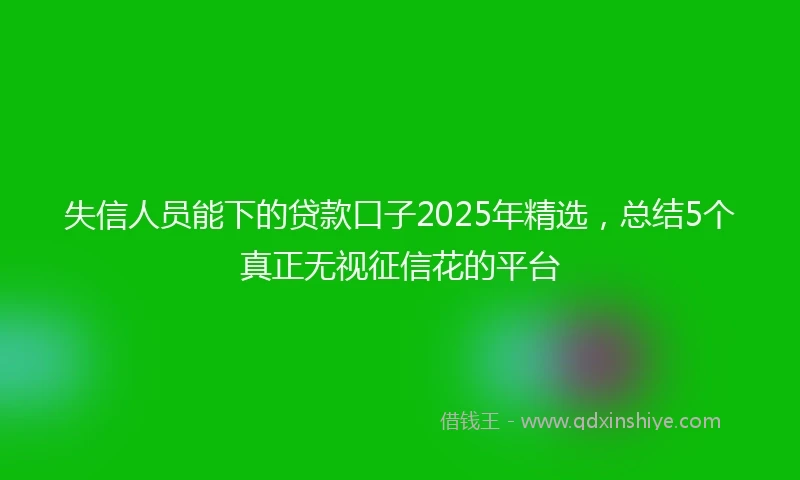 失信人员能下的贷款口子2025年精选，总结5个真正无视征信花的平台