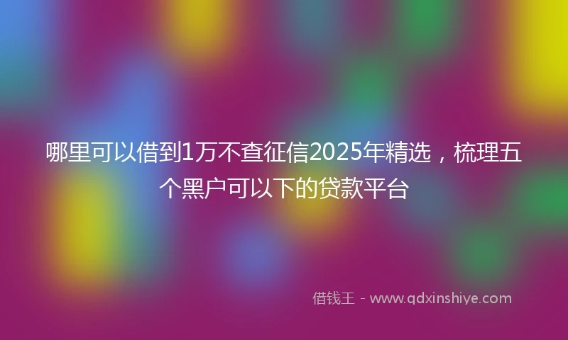 哪里可以借到1万不查征信2025年精选，梳理五个黑户可以下的贷款平台