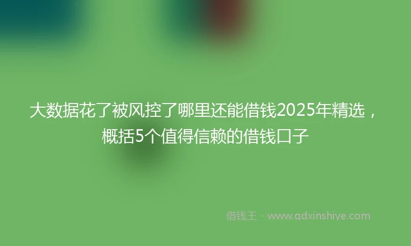 大数据花了被风控了哪里还能借钱2025年精选，概括5个值得信赖的借钱口子