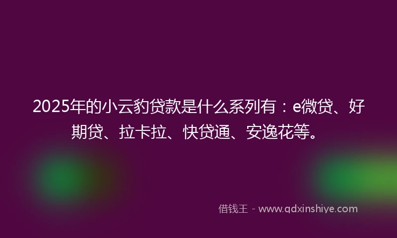 2025年的小云豹贷款是什么系列有：e微贷、好期贷、拉卡拉、快贷通、安逸花等。