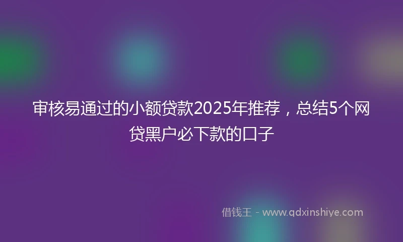 审核易通过的小额贷款2025年推荐，总结5个网贷黑户必下款的口子