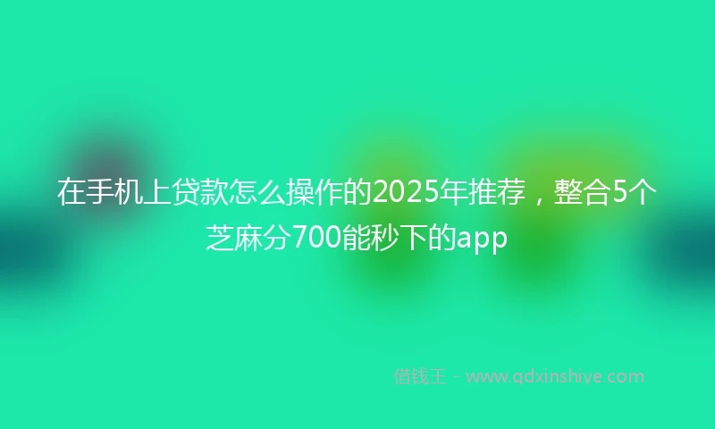 在手机上贷款怎么操作的2025年推荐，整合5个芝麻分700能秒下的app