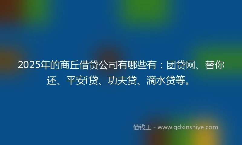 2025年的商丘借贷公司有哪些有：团贷网、替你还、平安i贷、功夫贷、滴水贷等。