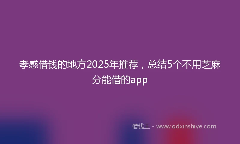 孝感借钱的地方2025年推荐，总结5个不用芝麻分能借的app