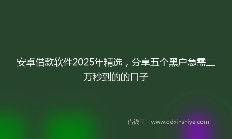 安卓借款软件2025年精选，分享五个黑户急需三万秒到的的口子