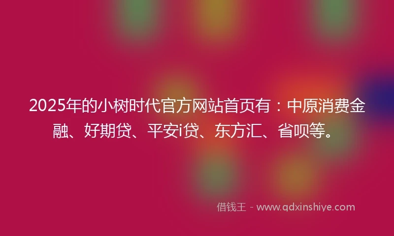 2025年的小树时代官方网站首页有：中原消费金融、好期贷、平安i贷、东方汇、省呗等。