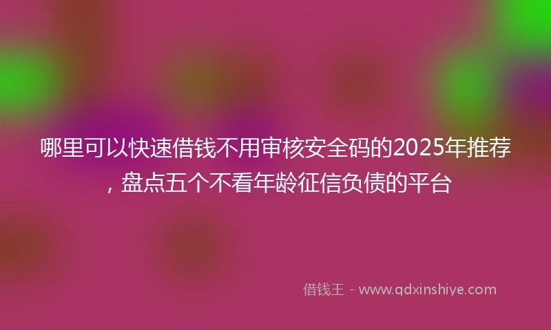 哪里可以快速借钱不用审核安全码的2025年推荐，盘点五个不看年龄征信负债的平台