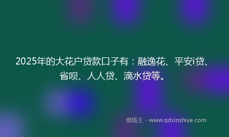 2025年的大花户贷款口子有：融逸花、平安i贷、省呗、人人贷、滴水贷等。