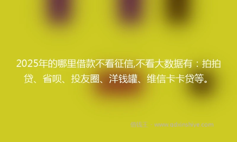 2025年的哪里借款不看征信,不看大数据有：拍拍贷、省呗、投友圈、洋钱罐、维信卡卡贷等。