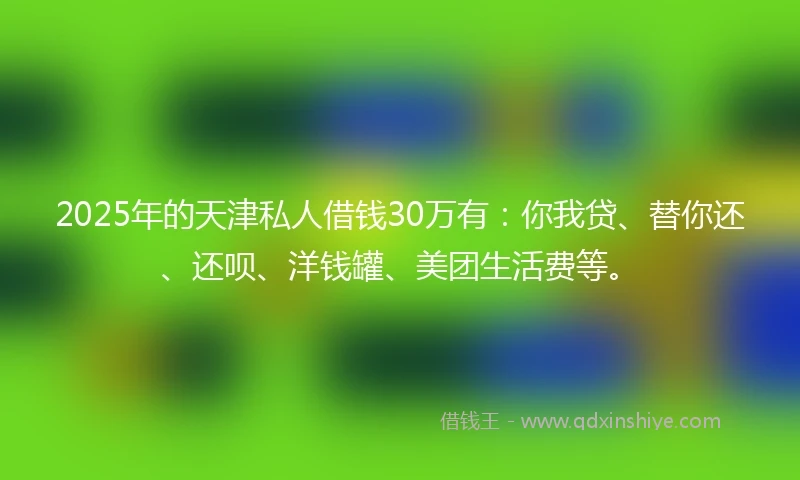 2025年的天津私人借钱30万有：你我贷、替你还、还呗、洋钱罐、美团生活费等。