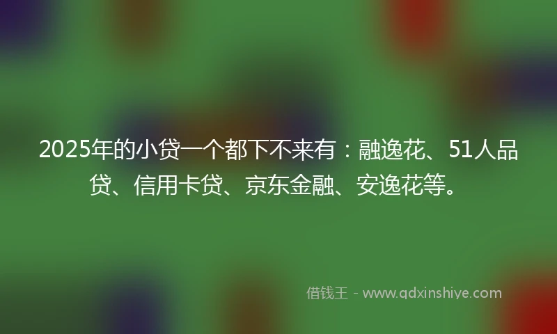 2025年的小贷一个都下不来有：融逸花、51人品贷、信用卡贷、京东金融、安逸花等。