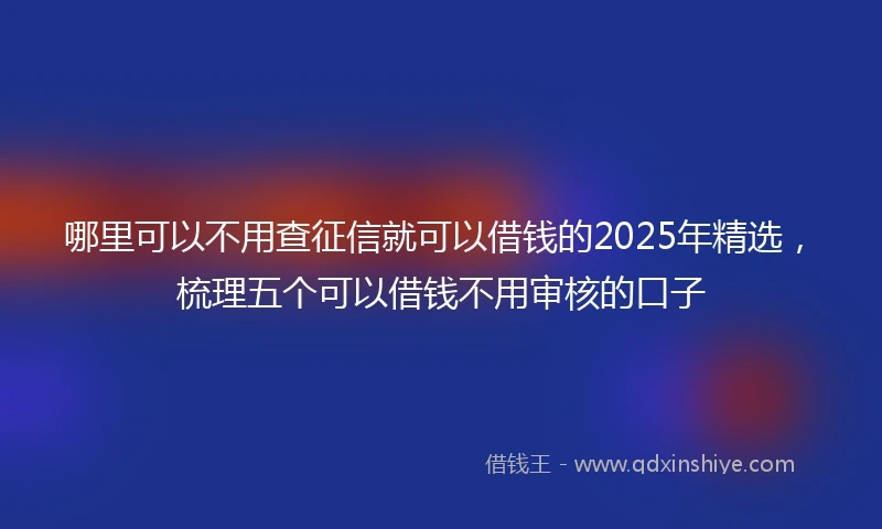 哪里可以不用查征信就可以借钱的2025年精选，梳理五个可以借钱不用审核的口子