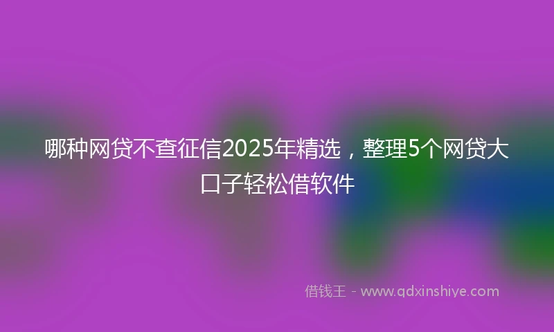 哪种网贷不查征信2025年精选，整理5个网贷大口子轻松借软件