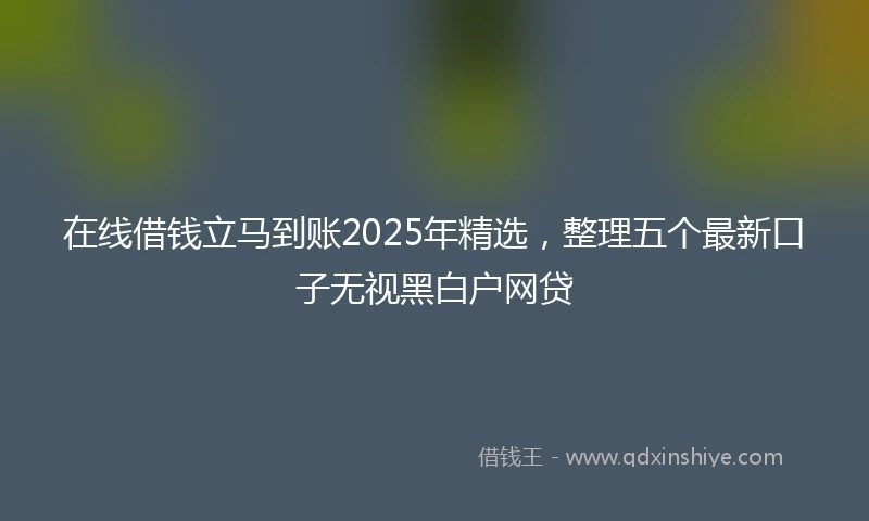 在线借钱立马到账2025年精选，整理五个最新口子无视黑白户网贷