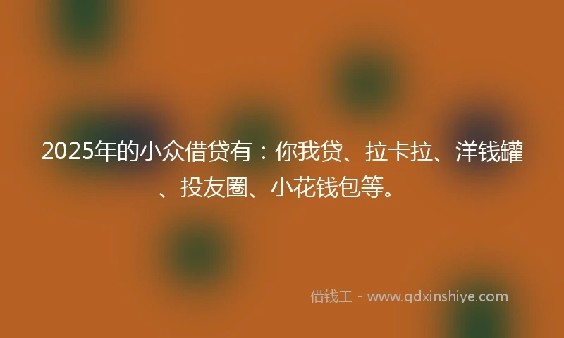 2025年的小众借贷有：你我贷、拉卡拉、洋钱罐、投友圈、小花钱包等。