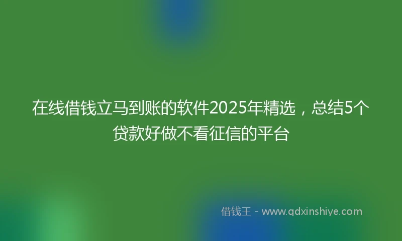 在线借钱立马到账的软件2025年精选，总结5个贷款好做不看征信的平台