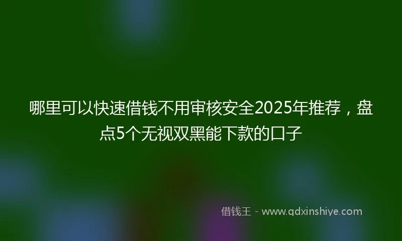 哪里可以快速借钱不用审核安全2025年推荐，盘点5个无视双黑能下款的口子