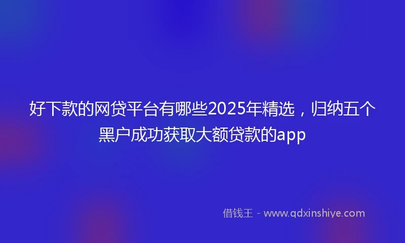 好下款的网贷平台有哪些2025年精选，归纳五个黑户成功获取大额贷款的app