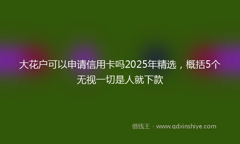 大花户可以申请信用卡吗2025年精选，概括5个无视一切是人就下款