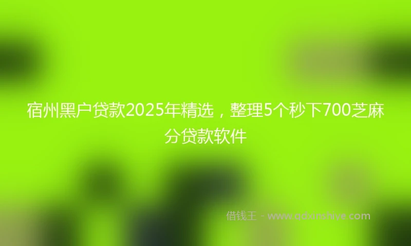 宿州黑户贷款2025年精选，整理5个秒下700芝麻分贷款软件