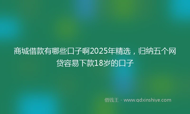 商城借款有哪些口子啊2025年精选，归纳五个网贷容易下款18岁的口子