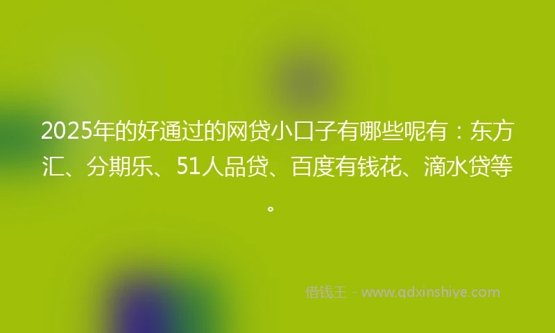 2025年的好通过的网贷小口子有哪些呢有：东方汇、分期乐、51人品贷、百度有钱花、滴水贷等。