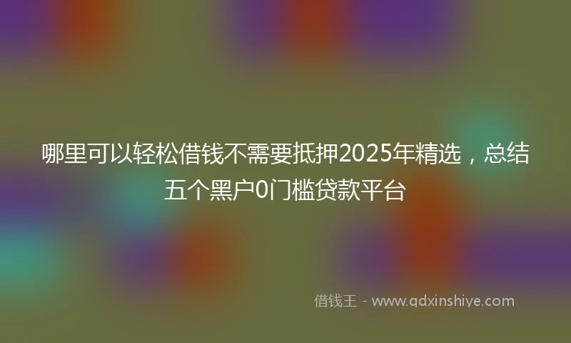 哪里可以轻松借钱不需要抵押2025年精选，总结五个黑户0门槛贷款平台