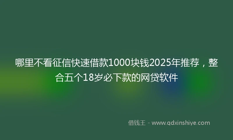 哪里不看征信快速借款1000块钱2025年推荐，整合五个18岁必下款的网贷软件