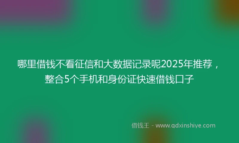 哪里借钱不看征信和大数据记录呢2025年推荐，整合5个手机和身份证快速借钱口子