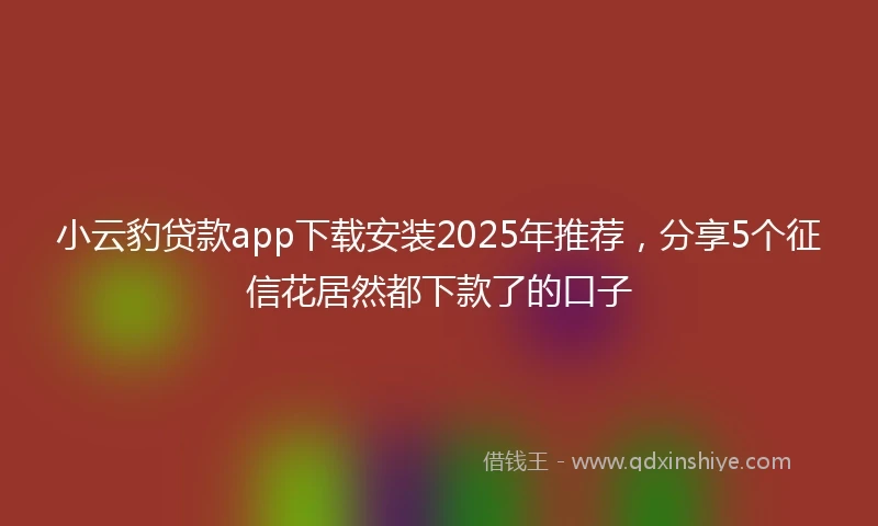 小云豹贷款app下载安装2025年推荐，分享5个征信花居然都下款了的口子