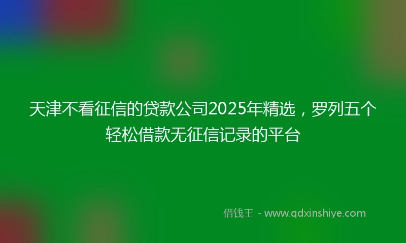 天津不看征信的贷款公司2025年精选，罗列五个轻松借款无征信记录的平台