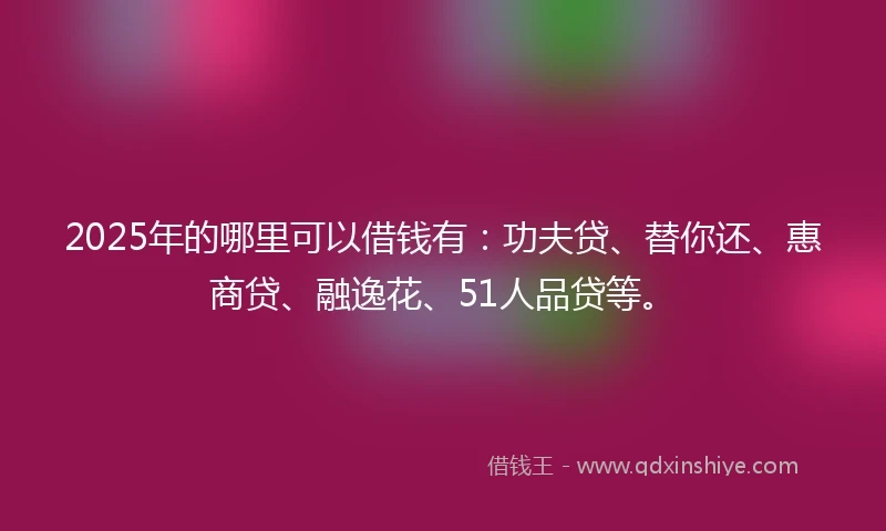 2025年的哪里可以借钱有：功夫贷、替你还、惠商贷、融逸花、51人品贷等。