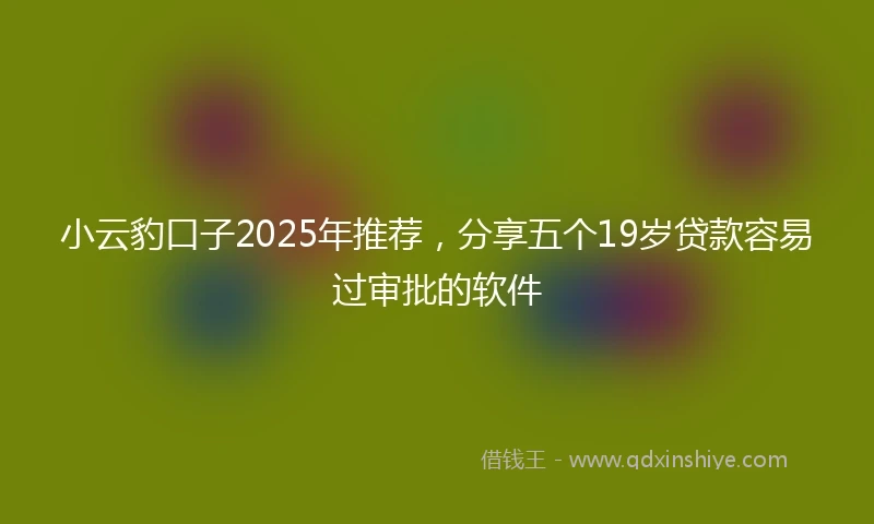 小云豹口子2025年推荐，分享五个19岁贷款容易过审批的软件