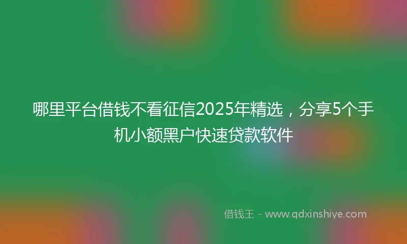 哪里平台借钱不看征信2025年精选，分享5个手机小额黑户快速贷款软件