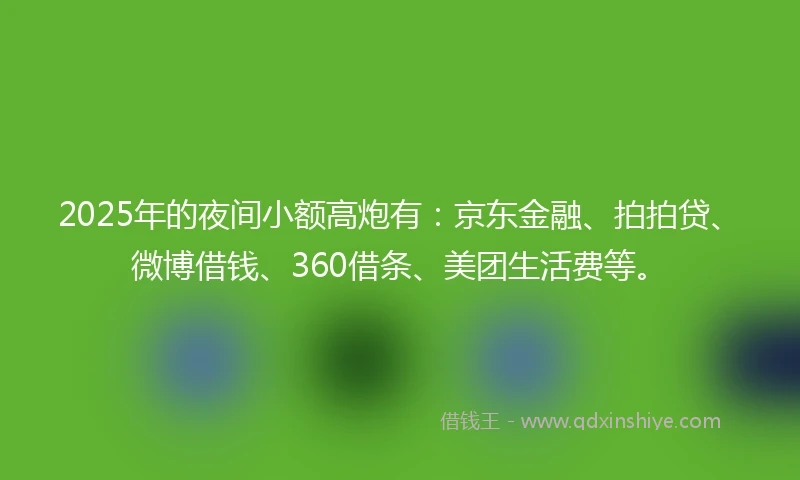 2025年的夜间小额高炮有：京东金融、拍拍贷、微博借钱、360借条、美团生活费等。