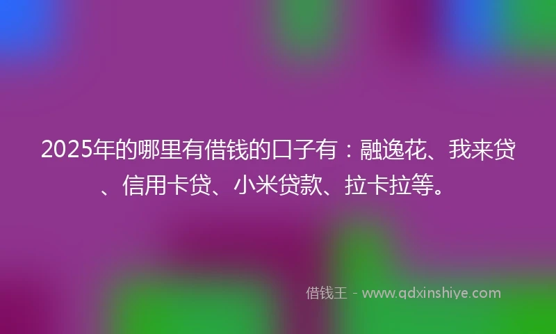 2025年的哪里有借钱的口子有：融逸花、我来贷、信用卡贷、小米贷款、拉卡拉等。